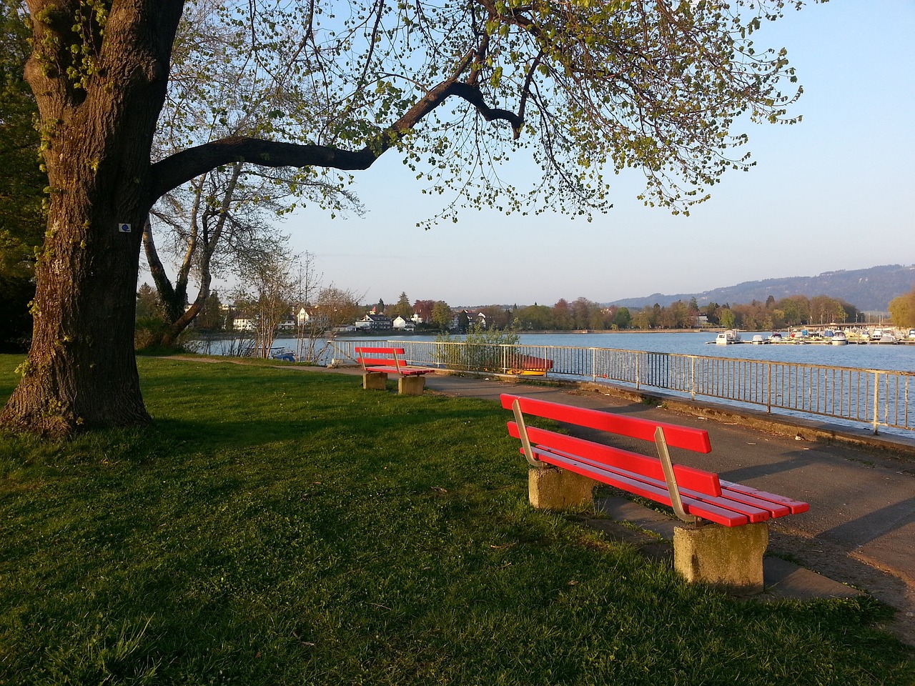 梅西：瓜迪奥拉是历史第一主教练！他伟大是因为风格！