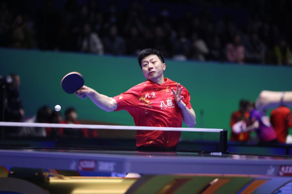 篮球篮网新援表现稳定