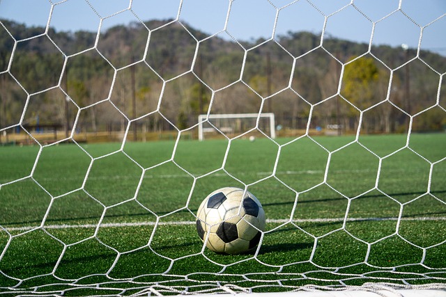 中超：武汉三镇2-0战胜浙江队